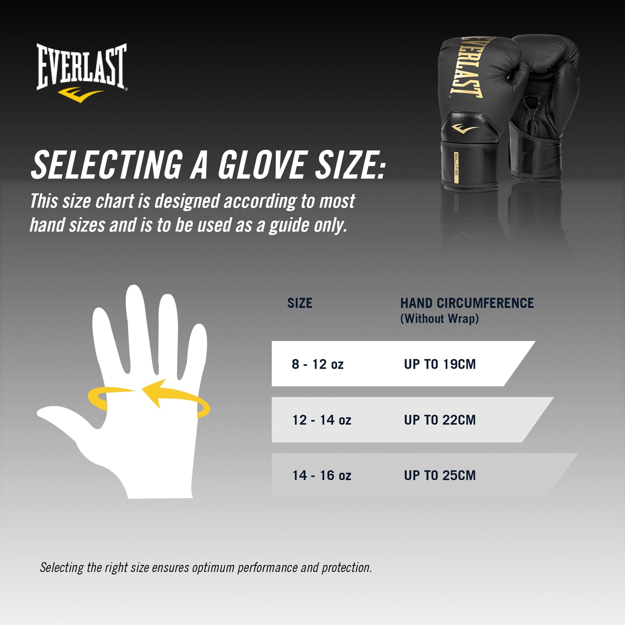 ELITE 2 BOXING GLOVES - BLACK & GOLD