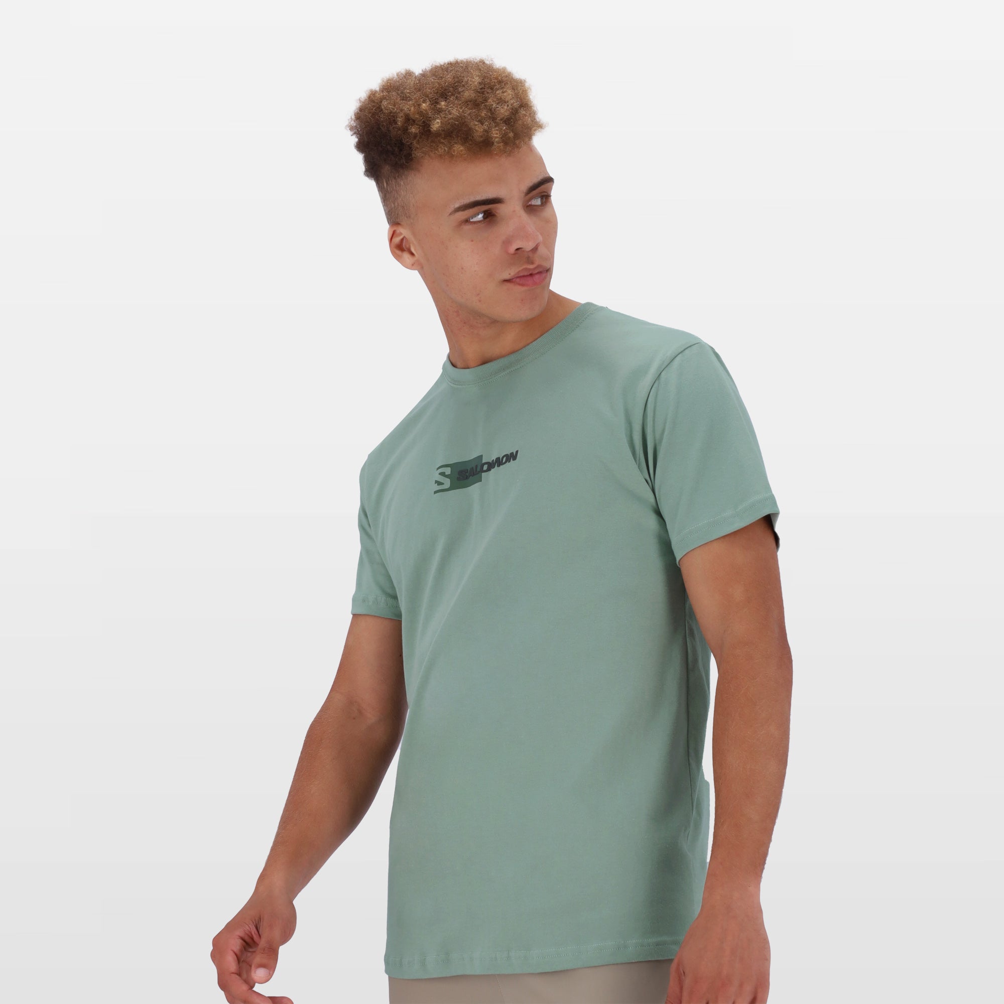 Salomon Hidden Graphic Tee: Lightweight, Comfortable Men's Short-Sleeve for Everyday Adventures