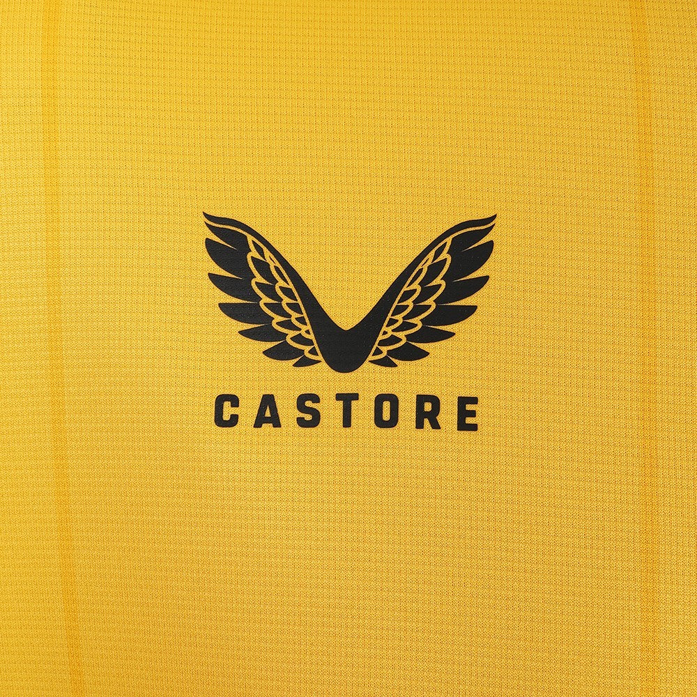 Wolverhampton Wanderers 23/24 Home Kit