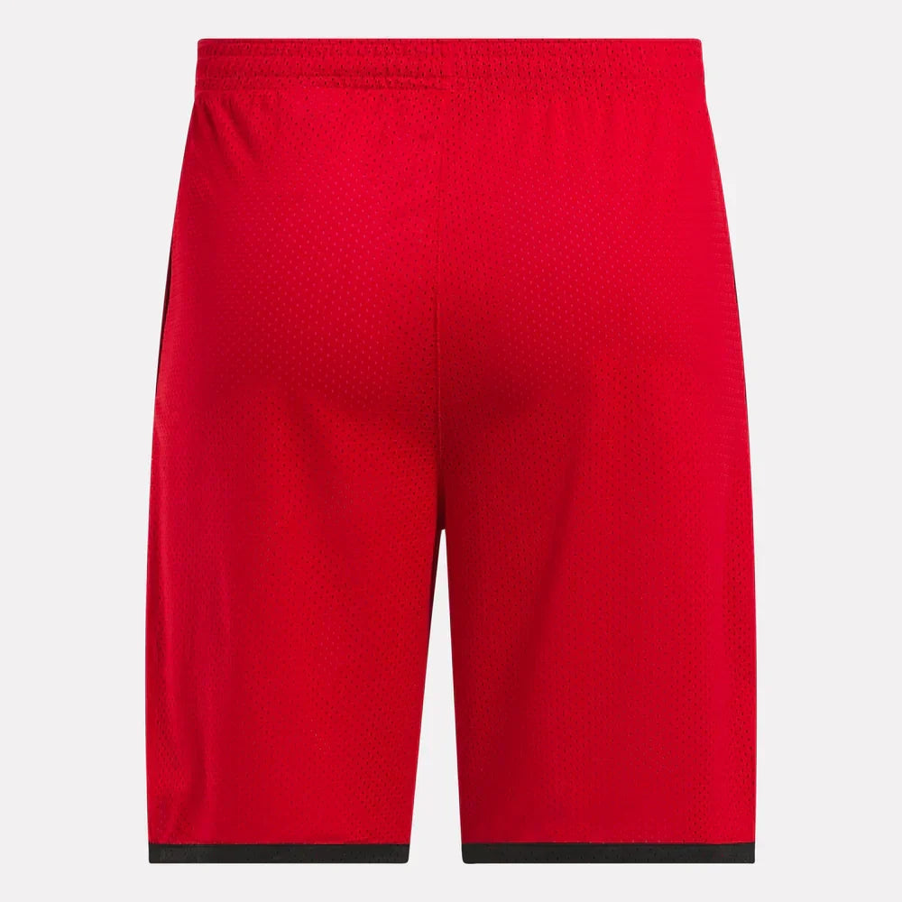 Basketball Mesh Shorts (4)