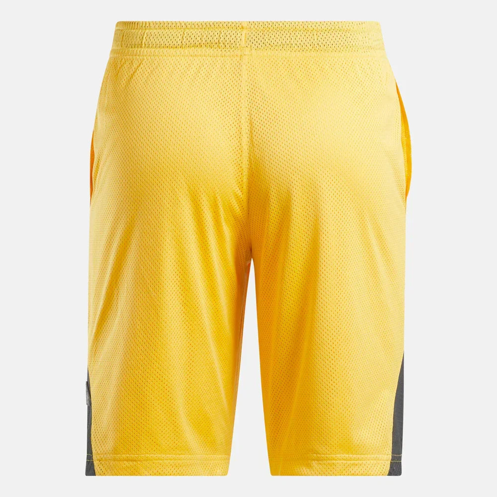 Above The Rim Hoopwear Shorts (4)