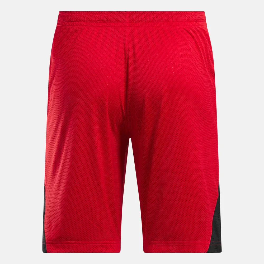 Above The Rim Hoopwear Shorts (4)