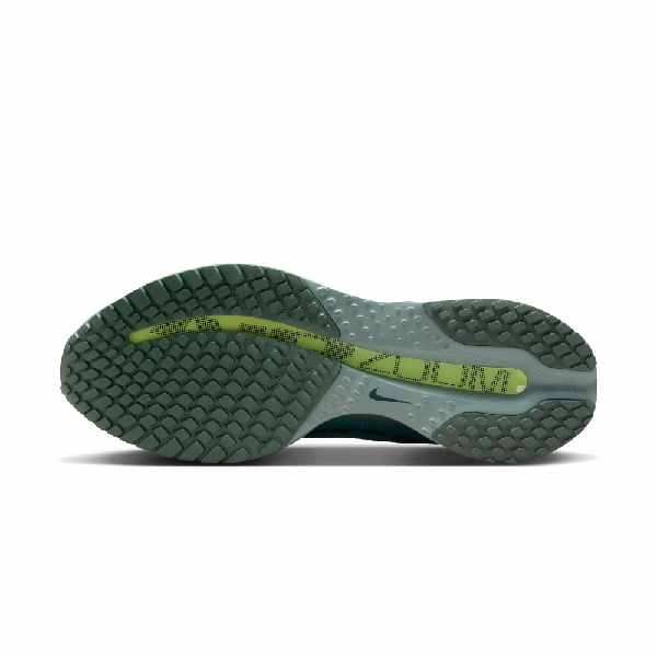 Nike Pegasus Premium Cannon/Seaweed-Barely