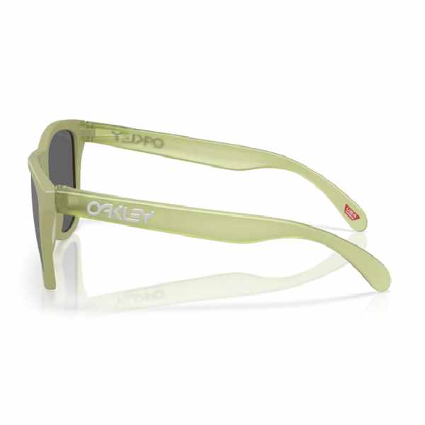 Oakley Frogskins Matte Fern/Prizm Black Polar