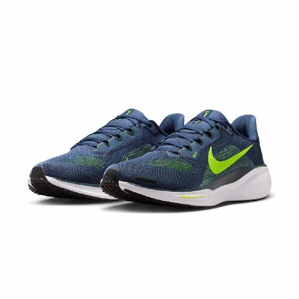 Nike Pegasus 41 Sanded Purple