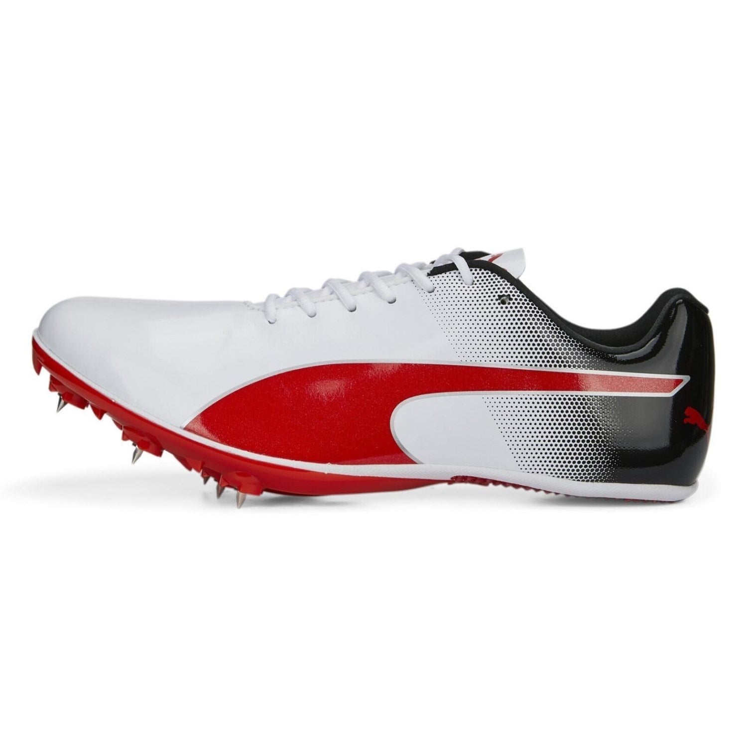 Puma Evospeed Sprint 14 White
