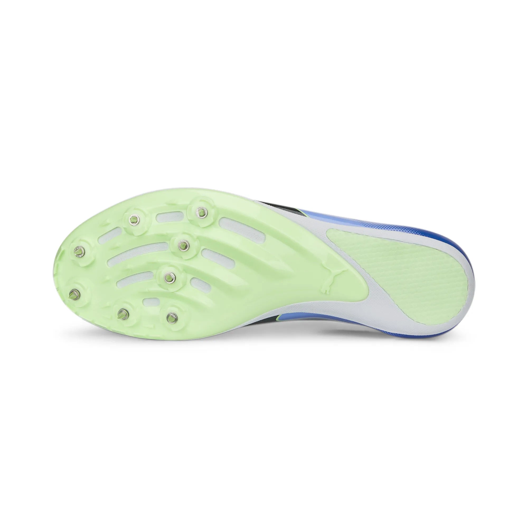 Puma Evospeed Sprint 14 Elektro Purple
