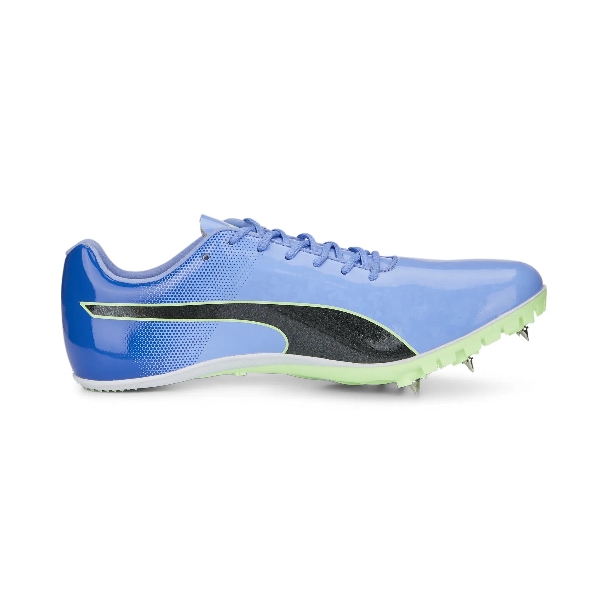 Puma Evospeed Sprint 14 Elektro Purple