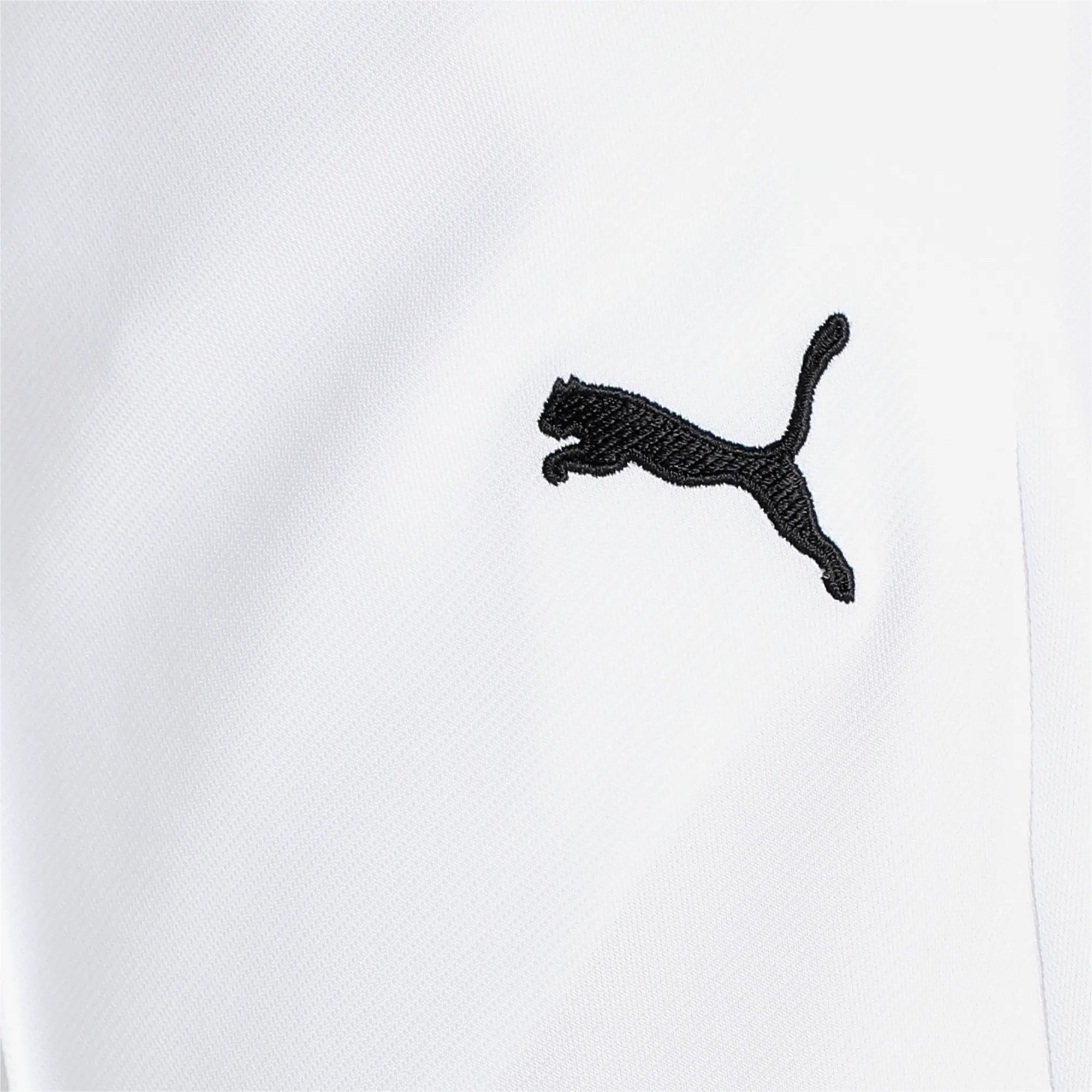 Puma Cricket Team Knit Pant White